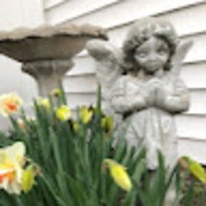 Meet your Posher, Joanne